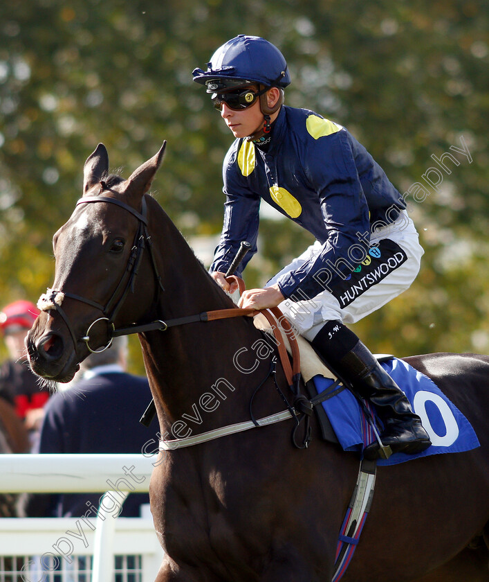 Purdey s-Gift-0001 
 PURDEY'S GIFT (Jason Watson)
Salisbury 3 Oct 2018 - Pic Steven Cargill / Racingfotos.com