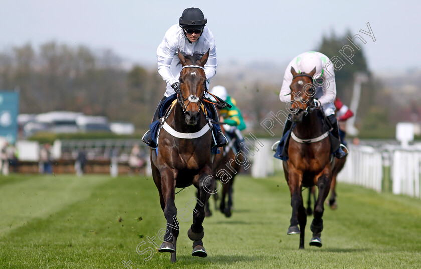 Constitution-Hill-0002 
 CONSTITUTION HILL (Nico de Boinville) wins The William Hill Aintree Hurdle
Aintree 13 Apr 2023 - Pic Steven Cargill / Racingfotos.com