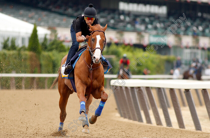 Justify-0010 
 JUSTIFY (Martine Garcia) exercising in preparation for The Belmont Stakes
Belmont Park USA 7 Jun 2018 - Pic Steven Cargill / Racingfotos.com