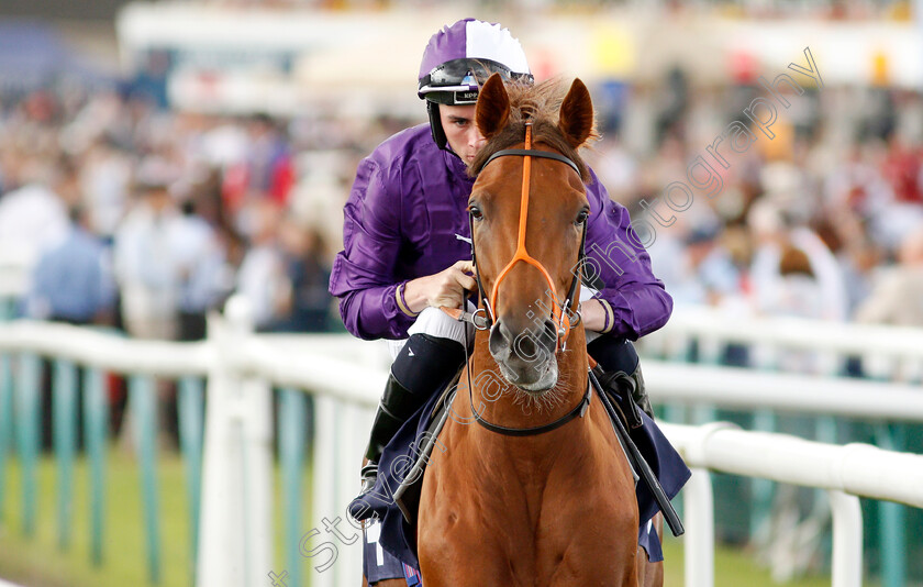 Thunder-Max-0001 
 THUNDER MAX (Rossa Ryan) winner of The Coopers Marquees Maiden Stakes
Doncaster 10 Sep 2021 - Pic Steven Cargill / Racingfotos.com