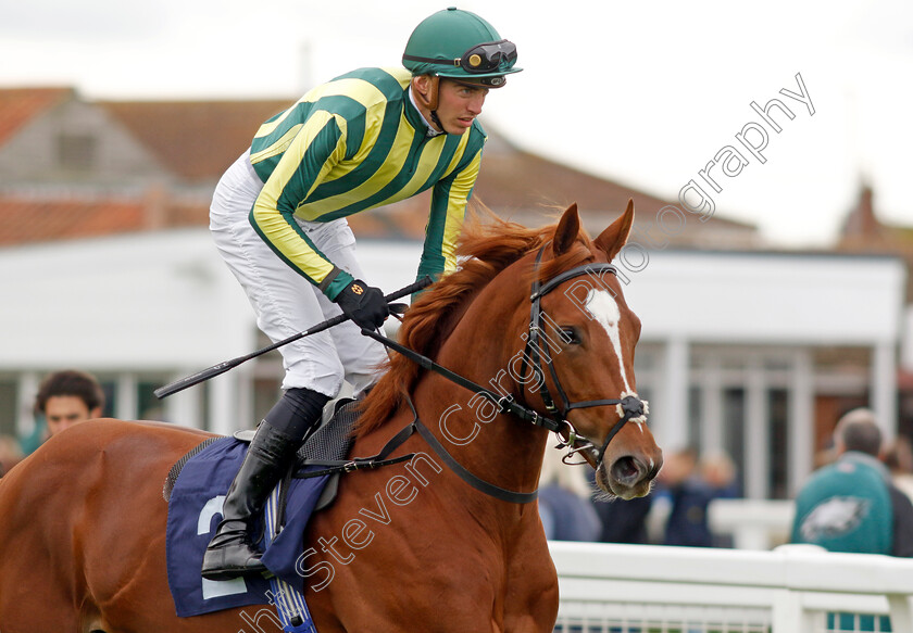 Pen-Portrait-0002 
 PEN PORTRAIT (James Doyle)
Yarmouth 16 Oct 2023 - Pic Steven Cargill / Racingfotos.com