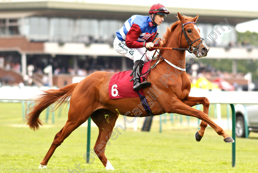 Aweedram0002 
 AWEEDRAM (Richard Kingscote)
Haydock 25 May 2019 - Pic Steven Cargill / Racingfotos.com