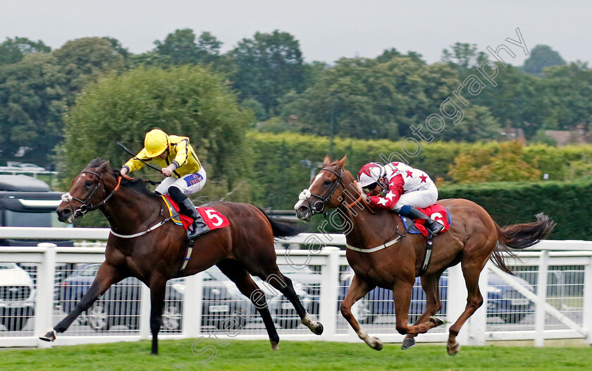 Tennessee-Gold-0004 
 TENNESSEE GOLD (right, Callum Shepherd) beats SMART HERO (left) in The Boodles Handicap
Sandown 8 Aug 2024 - Pic Steven Cargill / Racingfotos.com