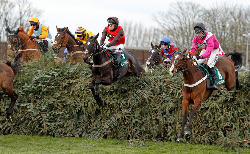 Cat-Tiger-and-Federici-0001 
 CAT TIGER (centre, David Maxwell) with FEDERICI (right, Derek O'Connor)
Aintree 8 Apr 2021 - Pic Steven Cargill / Racingfotos.com