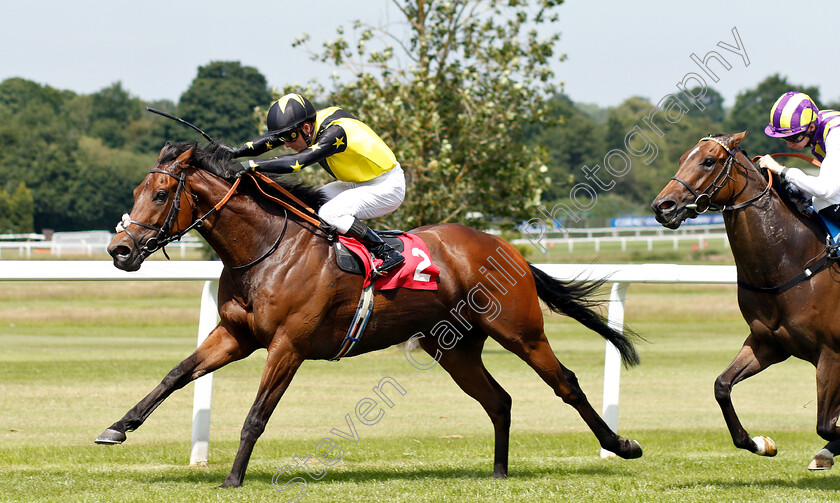 Jumira-Bridge-0004 
 JUMIRA BRIDGE (Kerrin McEvoy) wins The Sandown Park Supports Racing Staff Week Handicap
Sandown 5 Jul 2019 - Pic Steven Cargill / Racingfotos.com