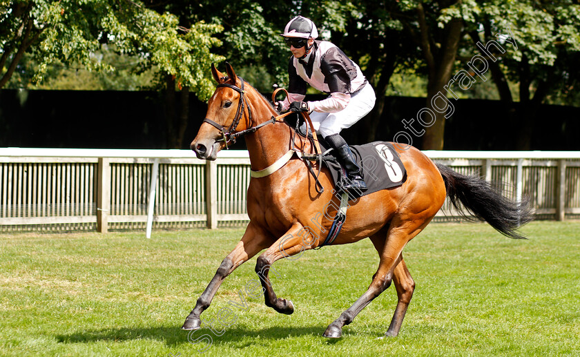 Fast-Flo-0001 
 FAST FLO (Eoin Walsh)
Newmarket 7 Aug 2021 - Pic Steven Cargill / Racingfotos.com