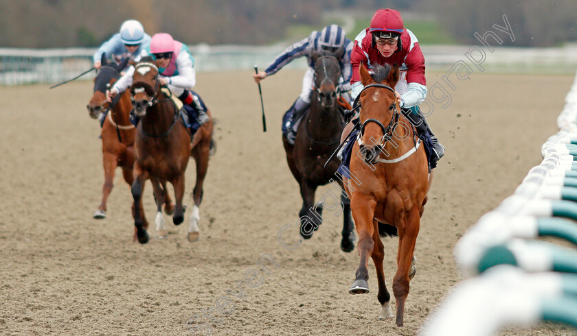 Bendy-Spirit-0001 
 BENDY SPIRIT (Connor Murtagh) wins The Ladbrokes Home Of The Odds Boost Handicap
Lingfield 2 Jan 2020 - Pic Steven Cargill / Racingfotos.com