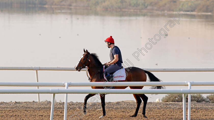 Cadillac-0002 
 CADILLAC exercising in preparation for Friday's Bahrain International Trophy
Sakhir Racecourse, Bahrain 16 Nov 2021 - Pic Steven Cargill / Racingfotos.com