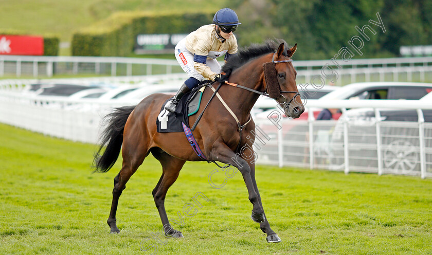 Mehmento-0001 
 MEHMENTO (Hollie Doyle)
Goodwood 29 Aug 2021 - Pic Steven Cargill / Racingfotos.com