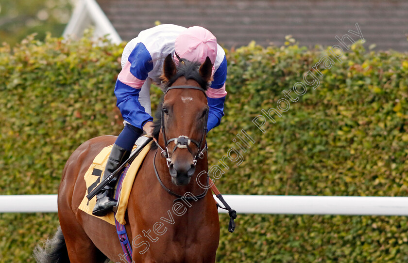 Prince-Of-The-Seas-0002 
 PRINCE OF THE SEAS (Hector Crouch)
Kempton 28 Aug 2024 - Pic Steven Cargill / Racingfotos.com