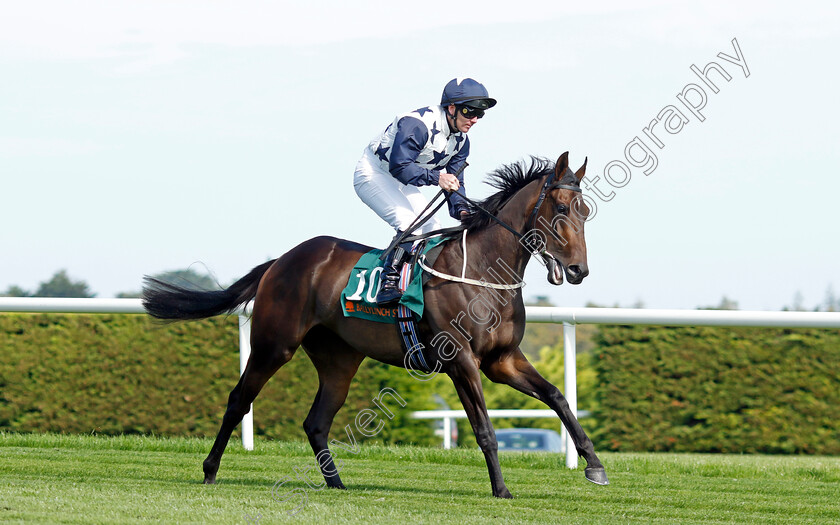 Serious-Notions-0001 
 SERIOUS NOTIONS (Gary Carroll)
Leopardstown 9 Sep 2023 - Pic Steven Cargill / Racingfotos.com