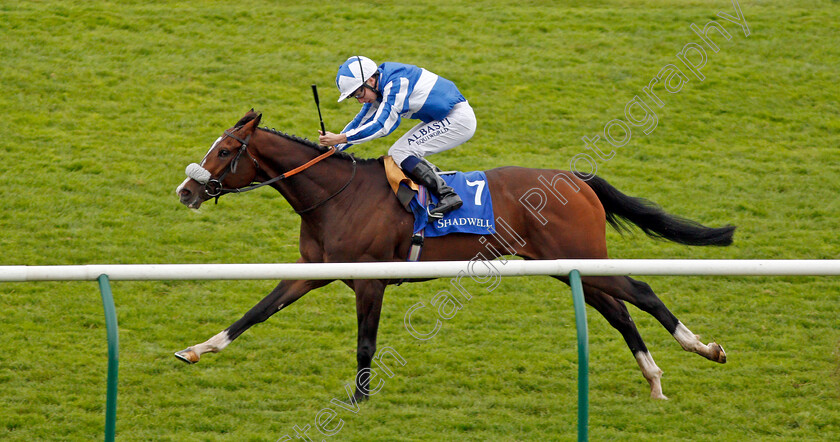 Beat-The-Bank-0007 
 BEAT THE BANK (Oisin Murphy) wins The Shadwell Joel Stakes Newmarket 29 Sep 2017 - Pic Steven Cargill / Racingfotos.com