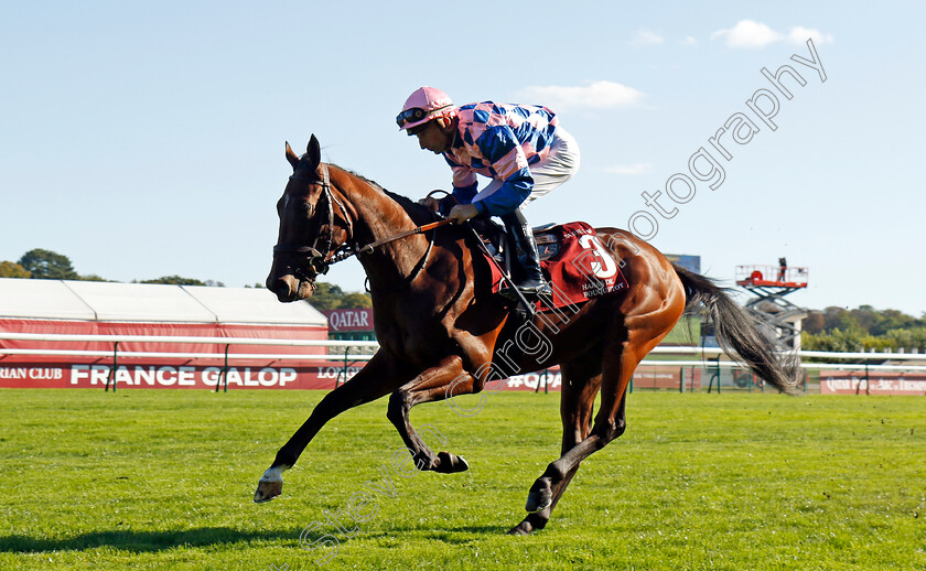 Fly-Half-0001 
 FLY HALF (I Mendizabal)
Longchamp 5 Oct 2024 - Pic Steven Cargill / Racingfotos.com