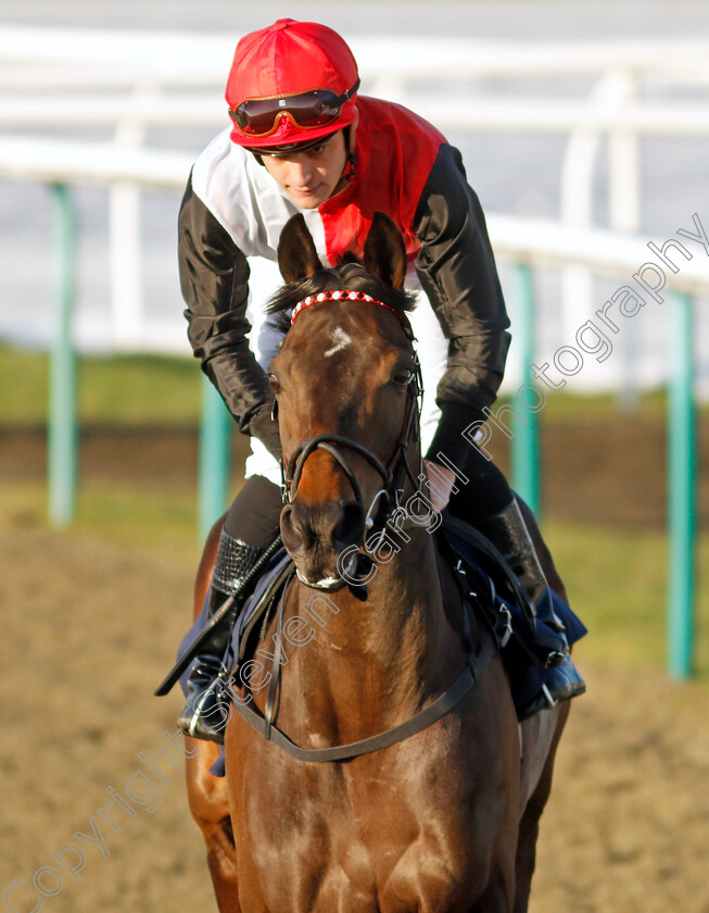 Makinmedoit-0001 
 MAKINMEDOIT (Pierre-Louis Jamin)
Lingfield 21 Jan 2023 - Pic Steven Cargill / Racingfotos.com