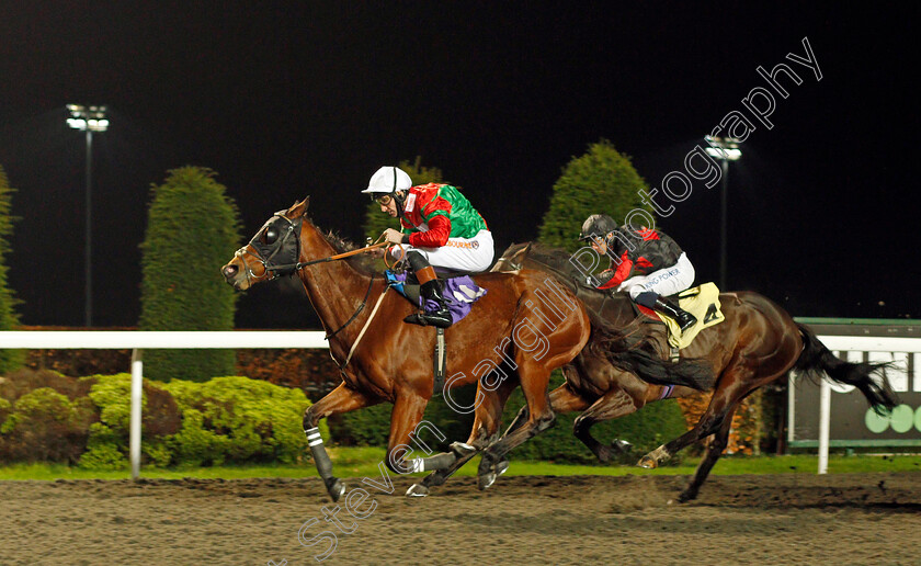 Espresso-Freddo-0001 
 ESPRESSO FREDDO (Dougie Costello) wins The Unibet Casino Deposit £10 get £40 Bonus Handicap
Kempton 2 Dec 2020 - Pic Steven Cargill / Racingfotos.com