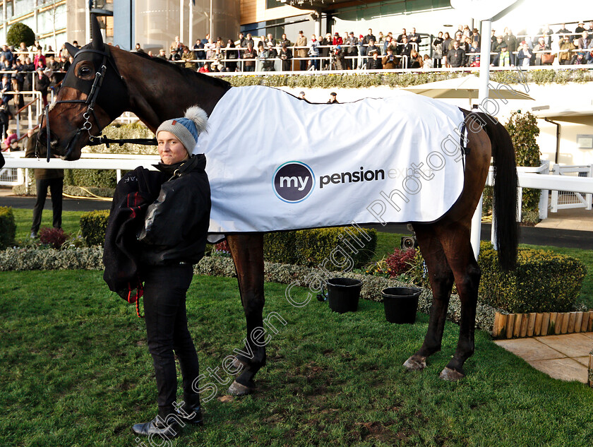 Hell s-Kitchen-0008 
 HELL'S KITCHEN after The My Pension Expert Handicap Chase
Ascot 22 Dec 2018 - Pic Steven Cargill / Racingfotos.com