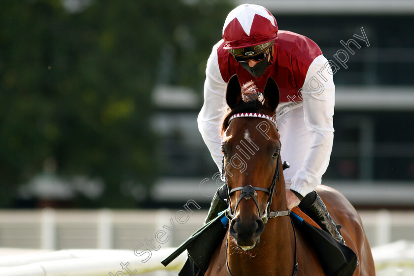 Glorious-Journey-0001 
 GLORIOUS JOURNEY (James Doyle) before winning The Dubai Duty Free Cup
Newbury 18 Sep 2020 - Pic Steven Cargill / Racingfotos.com