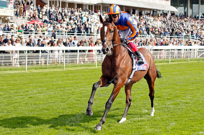 Sir-Lucan-0001 
 SIR LUCAN (Frankie Dettori)
York 18 Aug 2021 - Pic Steven Cargill / Racingfotos.com