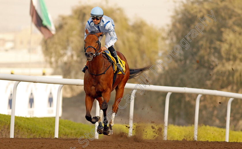 High-On-Life-0004 
 HIGH ON LIFE (Xavier Ziani) wins The Derrinstown Stud Conditions Race Jebel Ali 26 Jan 2018 - Pic Steven Cargill / Racingfotos.com