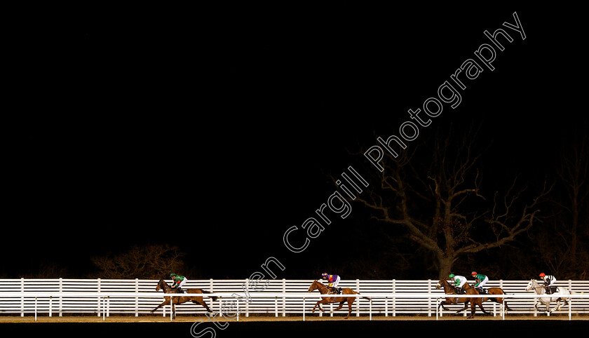 Lucky-Deal-0001 
 LUCKY DEAL (Joe Fanning) in 2nd place on his way to winning The Irish Lotto At totesport.com Handicap
Chelmsford 20 Feb 2019 - Pic Steven Cargill / Racingfotos.com