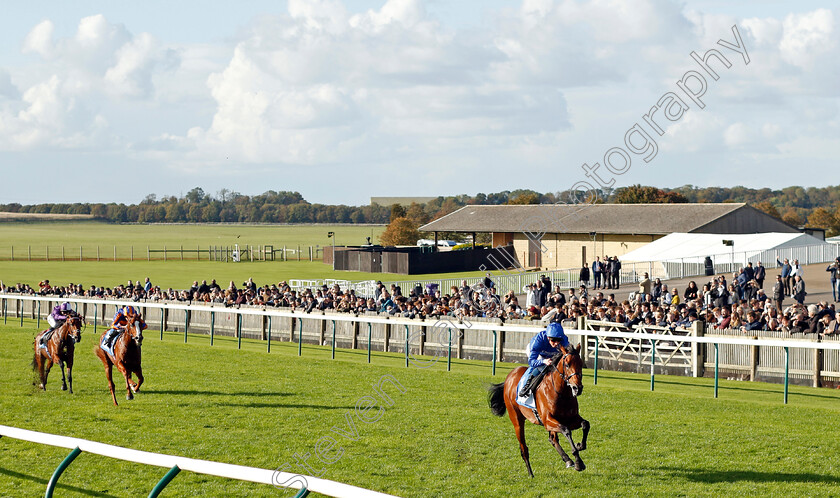 Arabian-Crown-0006 
 ARABIAN CROWN (William Buick) wins The Zetland Stakes
Newmarket 14 Oct 2023 - Pic Steven Cargill / Racingfotos.com