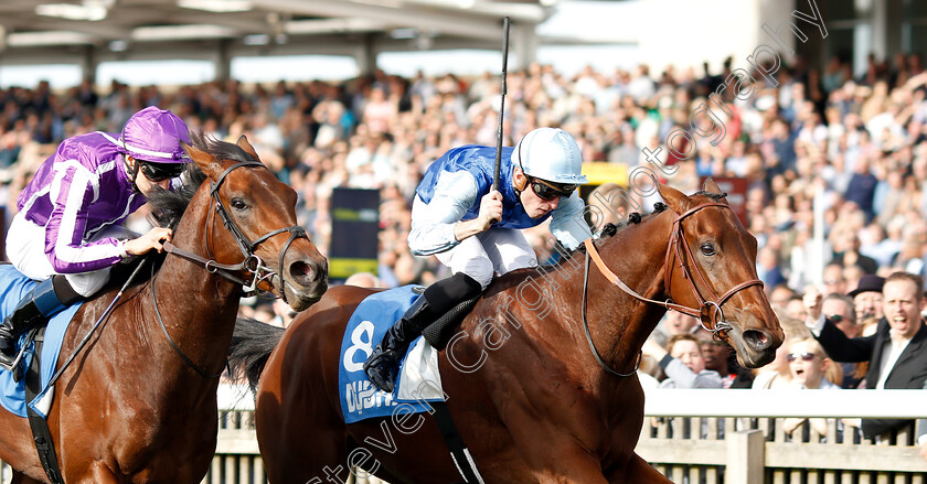 Persian-King-0010 
 PERSIAN KING (Pierre-Charles Boudot) wins The Masar Godolphin Autumn Stakes
Newmarket 13 Oct 2018 - Pic Steven Cargill / Racingfotos.com