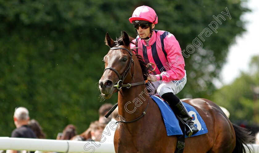 Poet-0001 
 POET (Jack Mitchell)
Salisbury 11 Aug 2021 - Pic Steven Cargill / Racingfotos.com