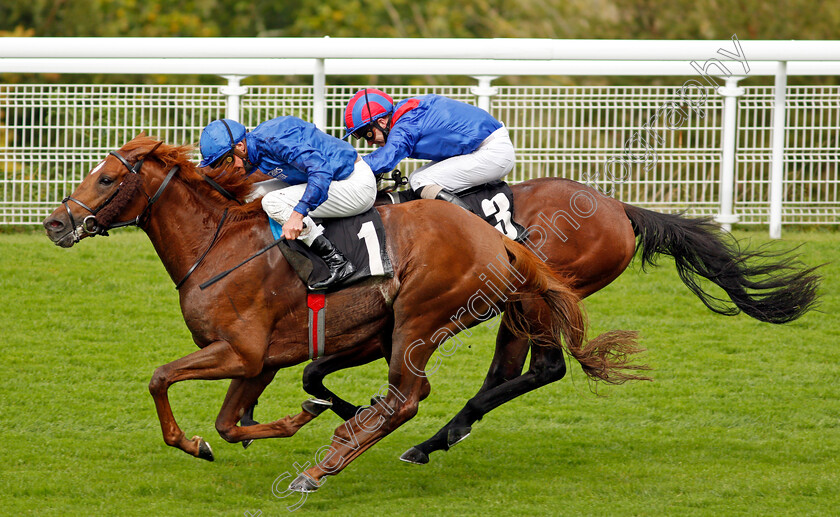 Act-Of-Wisdom-0005 
 ACT OF WISDOM (James Doyle) wins The Download The Tote Placepot App Future Stayers EBF Maiden Stakes
Goodwood 23 Sep 2020 - Pic Steven Cargill / Racingfotos.com