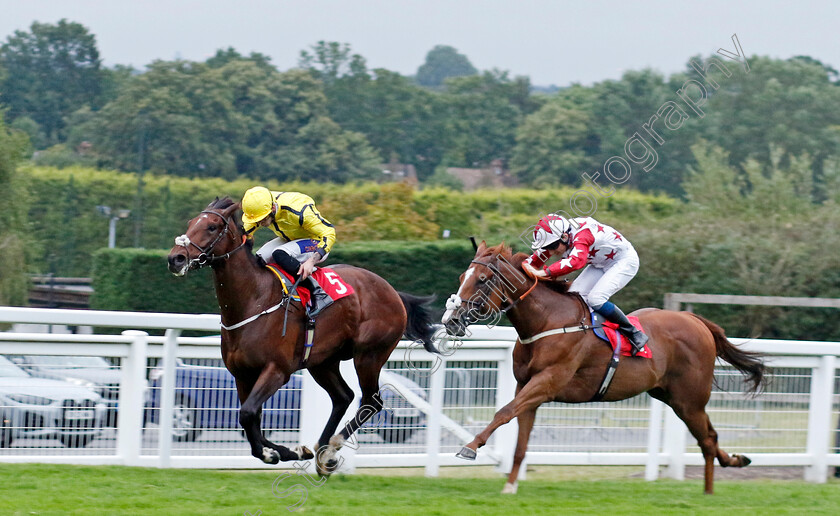 Tennessee-Gold-0005 
 TENNESSEE GOLD (right, Callum Shepherd) beats SMART HERO (left) in The Boodles Handicap
Sandown 8 Aug 2024 - Pic Steven Cargill / Racingfotos.com