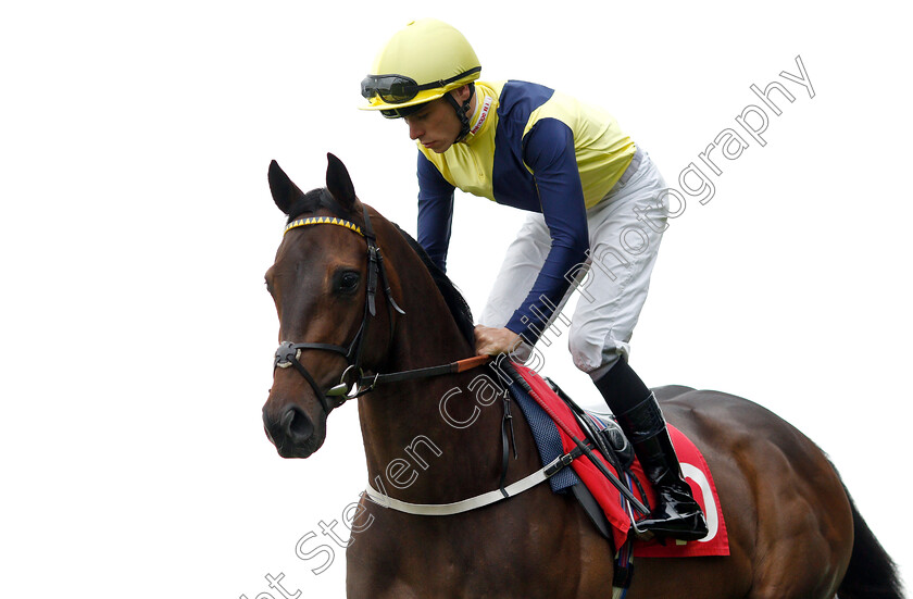 Persian-Rhapsody-0002 
 PERSIAN RHAPSODY (Kieran Shoemark)
Sandown 16 Jun 2018 - Pic Steven Cargill / Racingfotos.com