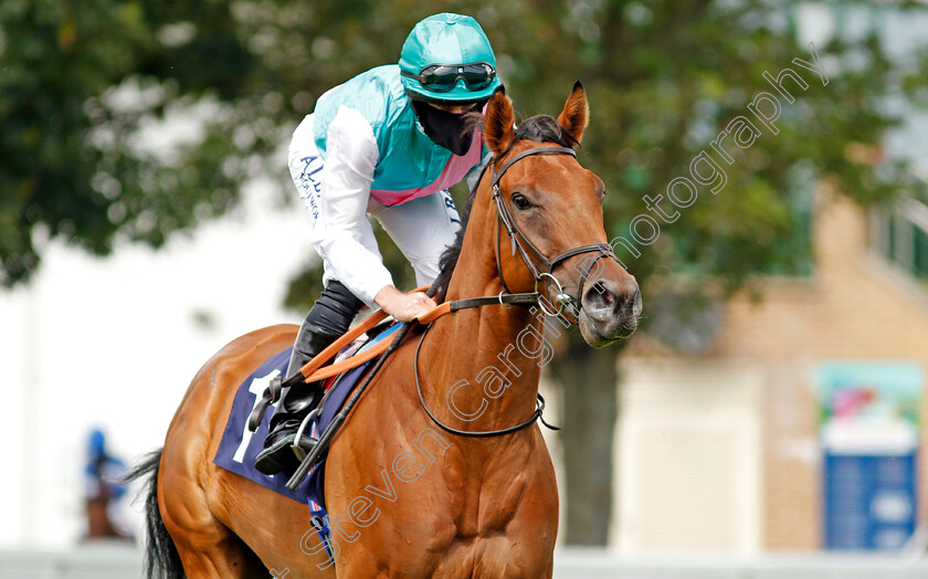 Tanita-0001 
 TANITA (Ryan Moore)
Yarmouth 15 Jul 2020 - Pic Steven Cargill / Racingfotos.com