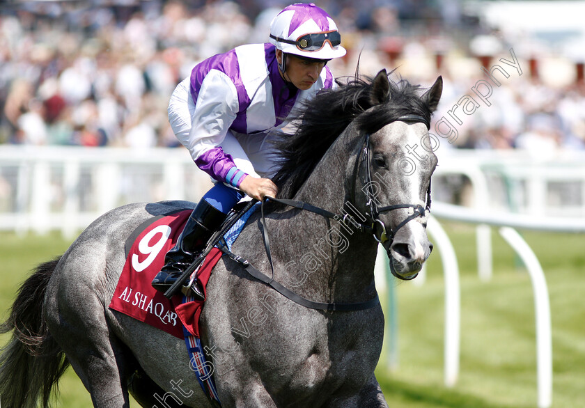 Glencadam-Master-0001 
 GLENCADAM MASTER (Nicky Mackay)
Newbury 19 May 2018 - Pic Steven Cargill / Racingfotos.com