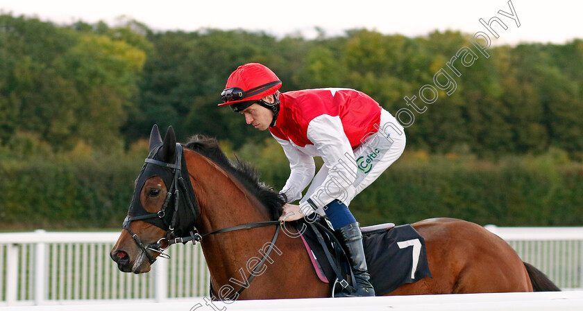 Velvet-Vortex-0001 
 VELVET VORTEX (Paddy Bradley)
Chelmsford 3 Oct 2024 - Pic Steven Cargill / Racingfotos.com