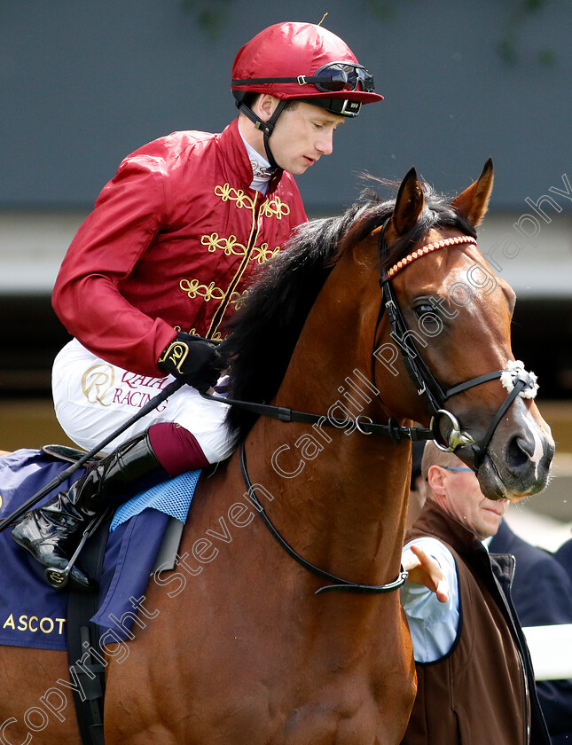 Middle-Earth-0002 
 MIDDLE EARTH (Oisin Murphy)
Royal Ascot 22 Jun 2024 - Pic Steven Cargill / Racingfotos.com