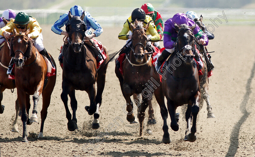 Heavenly-Holly-0003 
 HEAVENLY HOLLY (right, Ryan Moore) beats CRY BABY (left) in The Ladbrokes All-Weather Fillies And Mares Championships Stakes
Lingfield 19 Apr 2019 - Pic Steven Cargill / Racingfotos.com