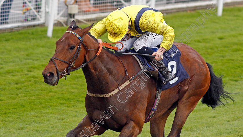 Hodler-0001 
 HODLER (Ryan Sexton) wins The Everyone's Turf Handicap
Chester 10 May 2023 - Pic Steven Cargill / Racingfotos.com