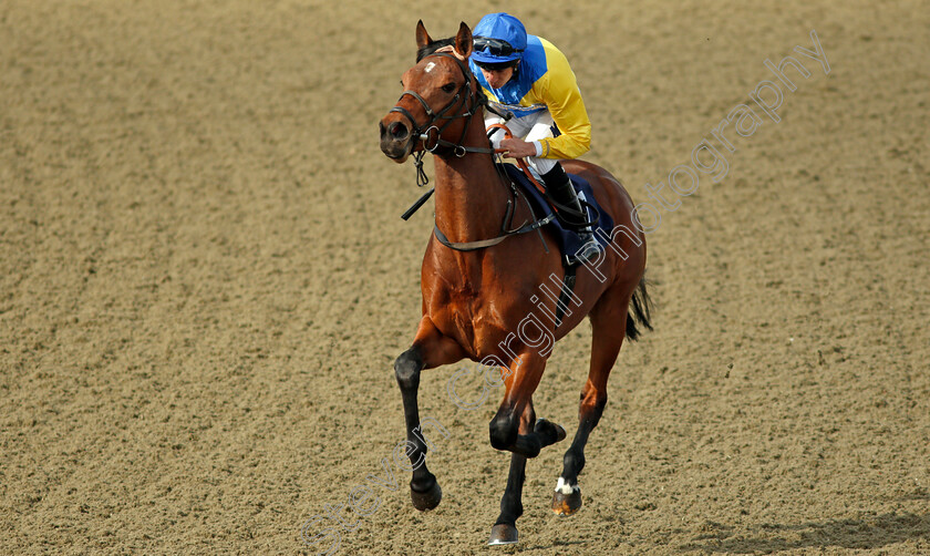 Tartarus-0003 
 TARTARUS (Luke Morris)
Lingfield 9 Mar 2022 - Pic Steven Cargill / Racingfotos.com