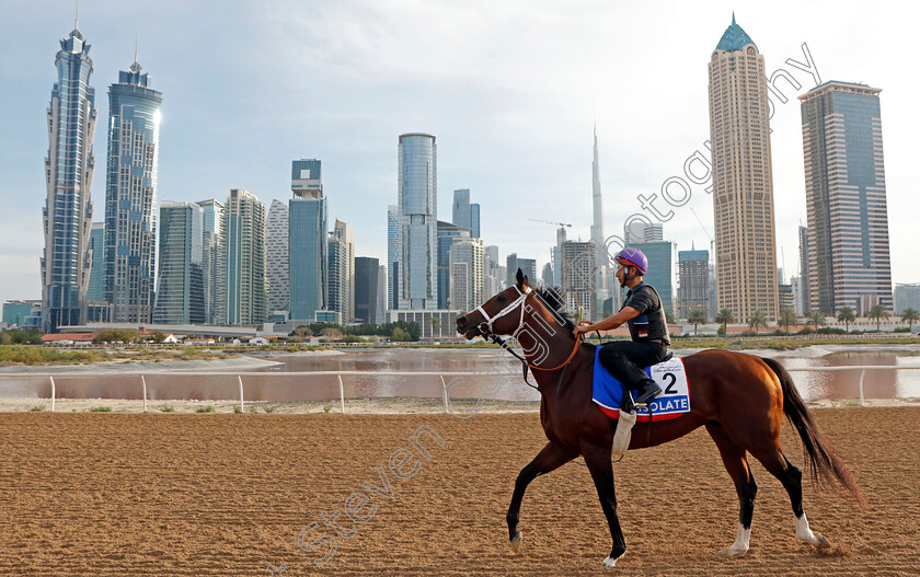 Isolate-0001 
 ISOLATE training for The Godolphin Mile at the Al Quoz training track
Meydan Dubai 27 Mar 2024 - Pic Steven Cargill / Racingfotos.com