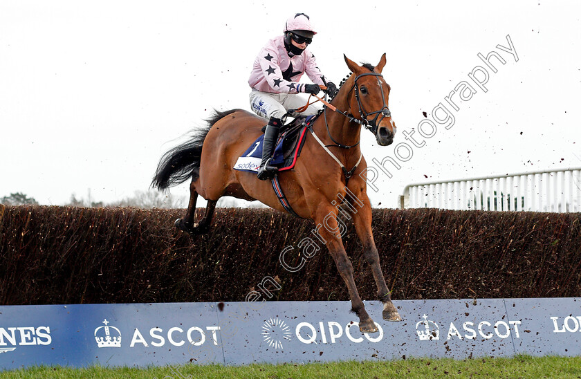 Hurricane-Harvey-0002 
 HURRICANE HARVEY (Connor Brace)
Ascot 20 Feb 2021 - Pic Steven Cargill / Racingfotos.com