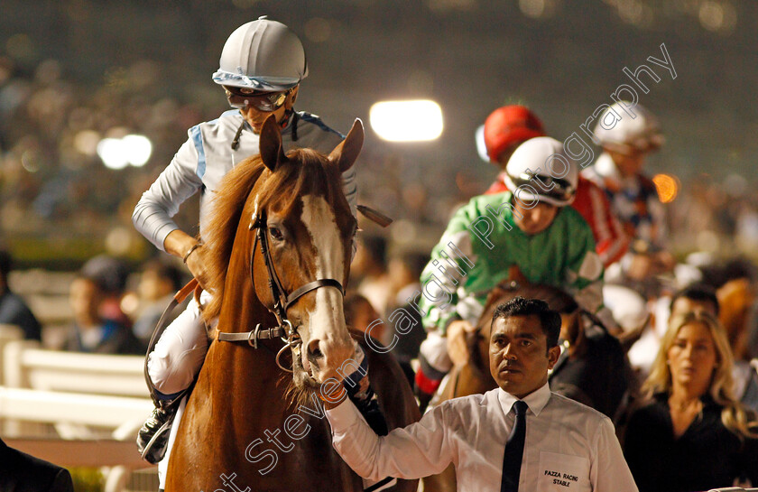 Manahir-0001 
 MANAHIR (Mickael Barzalona) Meydan 18 Jan 2018 - Pic Steven Cargill / Racingfotos.com