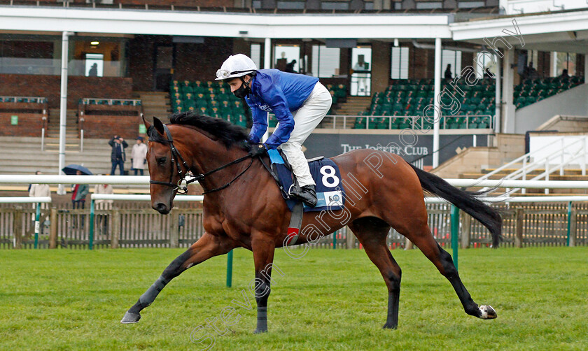 Royal-Touch-0001 
 ROYAL TOUCH (William Buick)
Newmarket 21 Oct 2020 - Pic Steven Cargill / Racingfotos.com