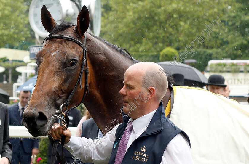 Circus-Maximus-0009 
 CIRCUS MAXIMUS after The St James's Palace Stakes 
Royal Ascot 18 Jun 2019 - Pic Steven Cargill / Racingfotos.com