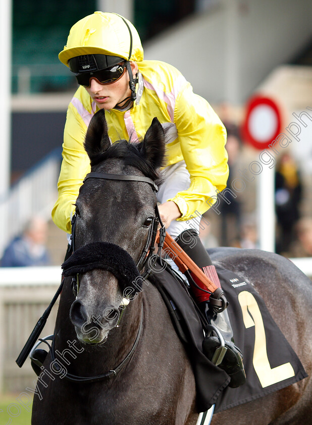 Filles-De-Fleur-0001 
 FILLES DE FLEUR (George Wood)
Newmarket 24 Oct 2018 - Pic Steven Cargill / Racingfotos.com