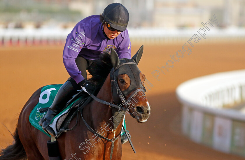 Jun-Light-Bolt-0001 
 JUN LIGHT BOLT training for The Saudi Cup
King Abdulaziz Racecourse, Kingdom of Saudi Arabia, 22 Feb 2023 - Pic Steven Cargill / Racingfotos.com