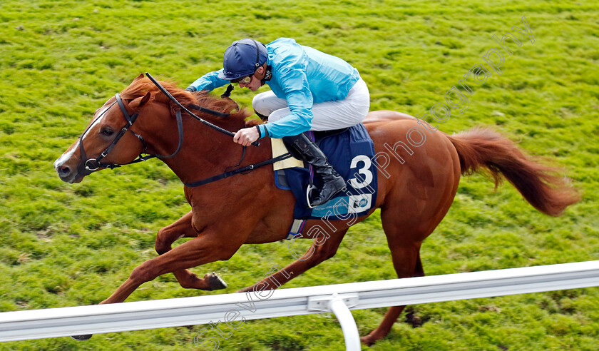 Hackman-0001 
 HACKMAN (James Doyle) wins The British EBF Ruby Anniversary Maiden Stakes
Chester 11 May 2023 - Pic Steven Cargill / Racingfotos.com