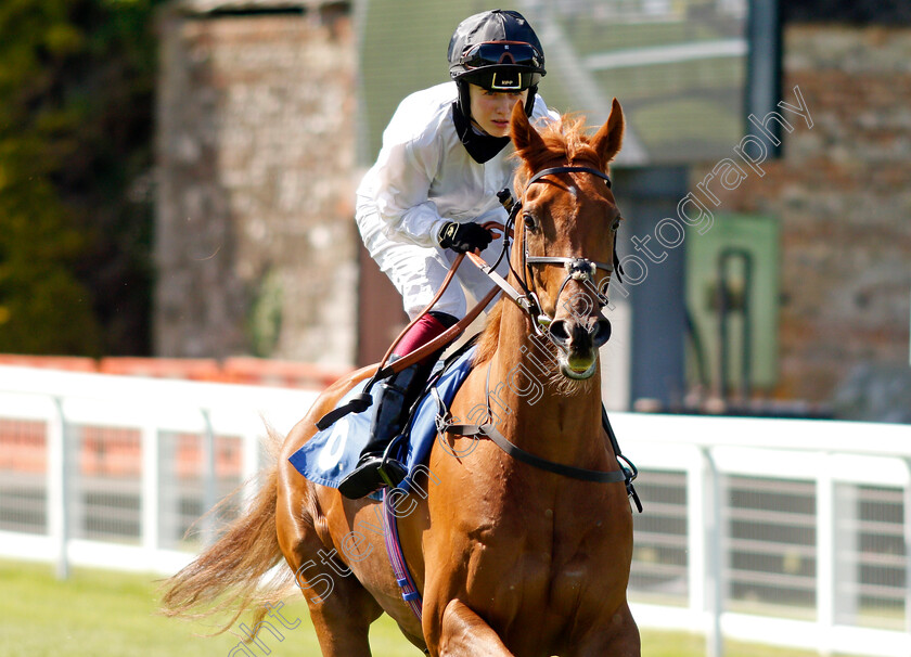 Vin-Rouge-0001 
 VIN ROUGE (Saffie Osborne)
Saslisbury 8 Jun 2021 - Pic Steven Cargill / Racingfotos.com