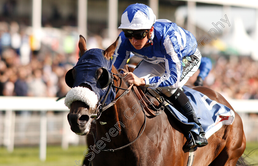 Pivoine-0006 
 PIVOINE (Jason Watson) wins The Sky Bet Handicap
York 25 Aug 2018 - Pic Steven Cargill / Racingfotos.com