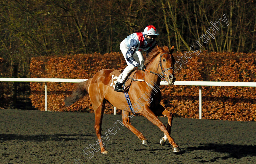 Pirouette-Queen-0001 
 PIROUETTE QUEEN (Martin Harley)
Kempton 3 Mar 2021 - Pic Steven Cargill / Racingfotos.com