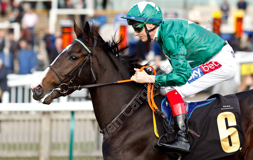 Parknacilla-0001 
 PARKNACILLA (Fran Berry)
Newmarket 24 Oct 2018 - Pic Steven Cargill / Racingfotos.com