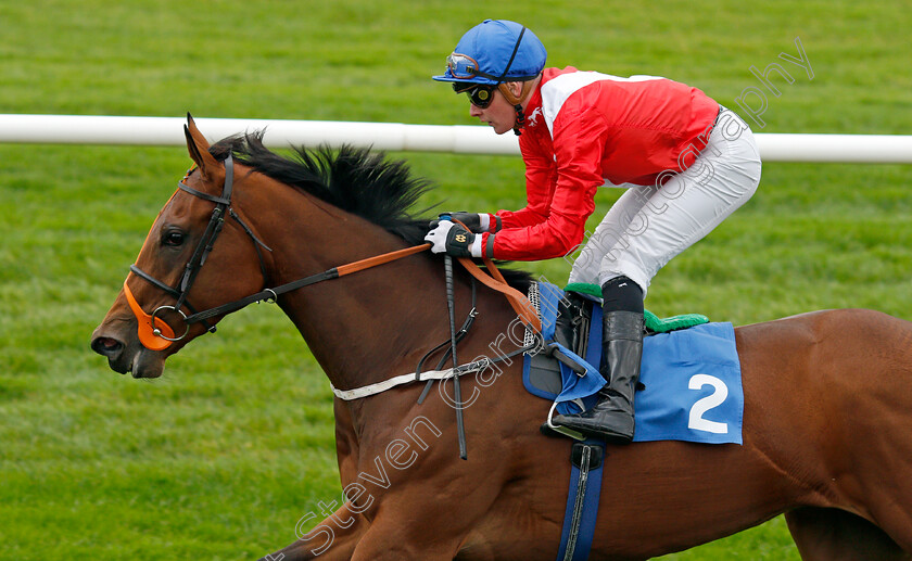 Benefit-0006 
 BENEFIT (John Fahy) wins The British Stallion Studs EBF Fillies Conditions Stakes
Leicester 12 Oct 2021 - Pic Steven Cargill / Racingfotos.com